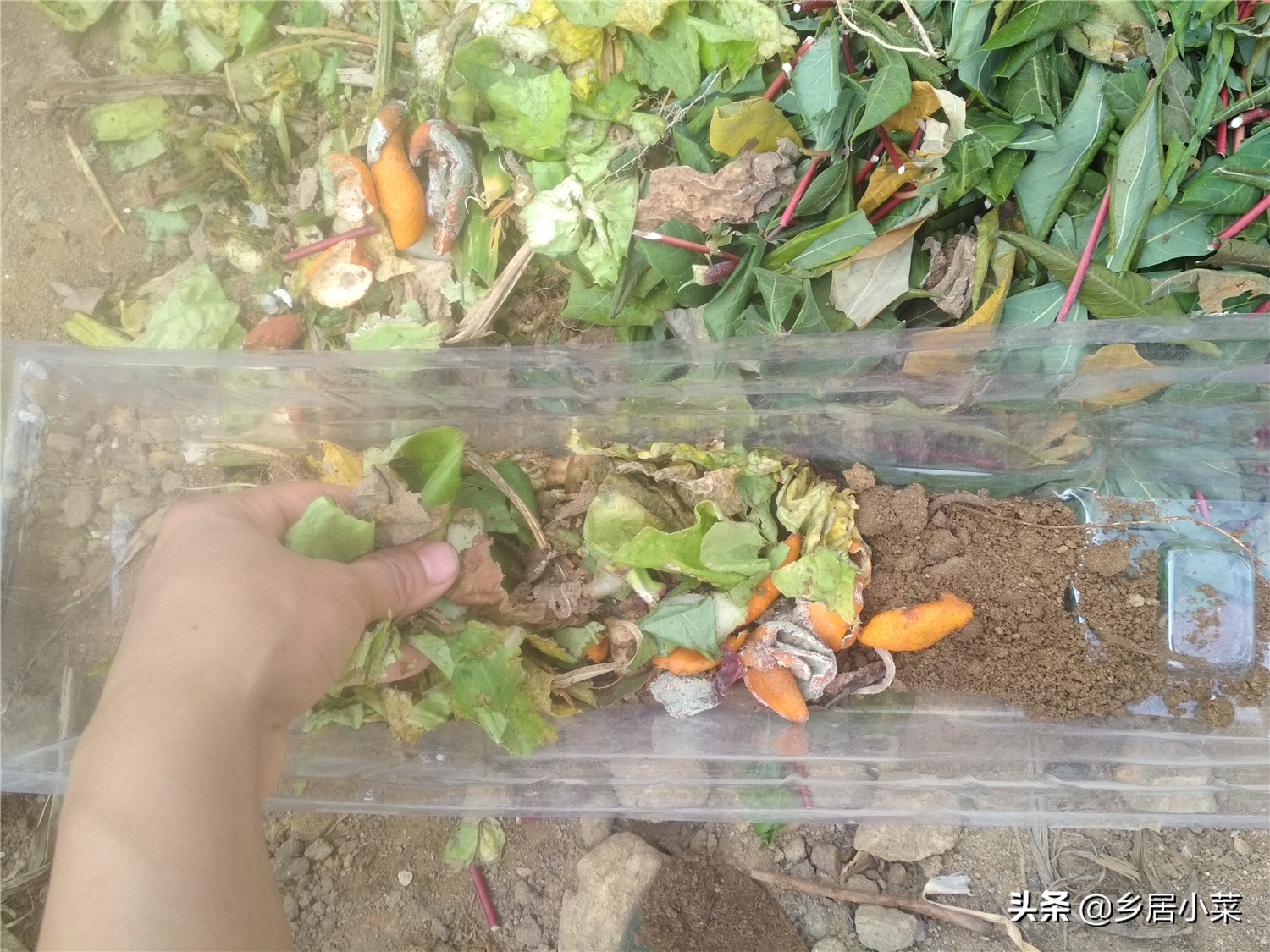 怎样让菜地土质松软,怎样才能把菜地的土壤弄得很松软