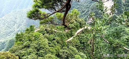 陕西商洛天竺山一日游,天竺山商洛