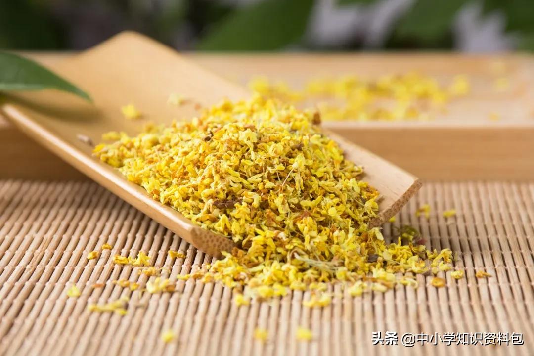 当花遇见诗词每一朵花开都是春天,当花遇上诗词每一朵花开都是春天