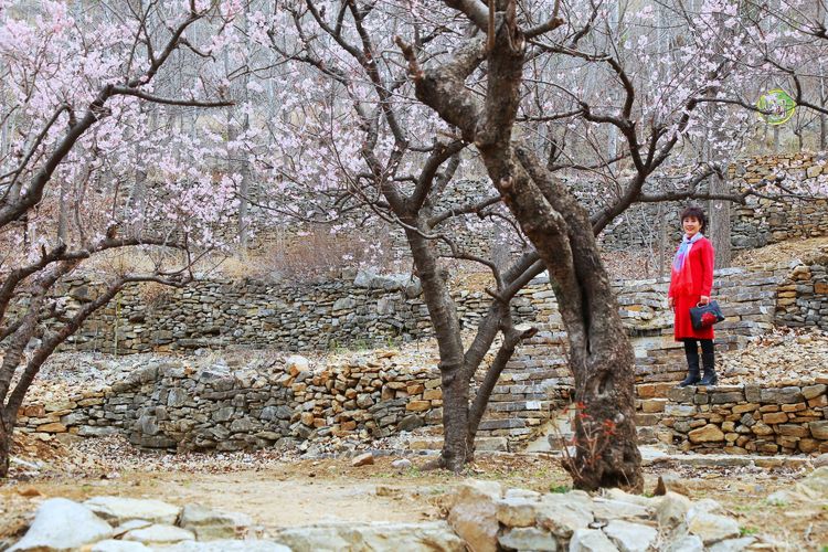 费县古村落景区,费县千年古村利山涧