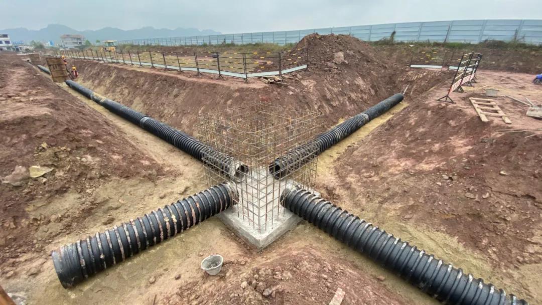 我的长江,长江我的家完整版