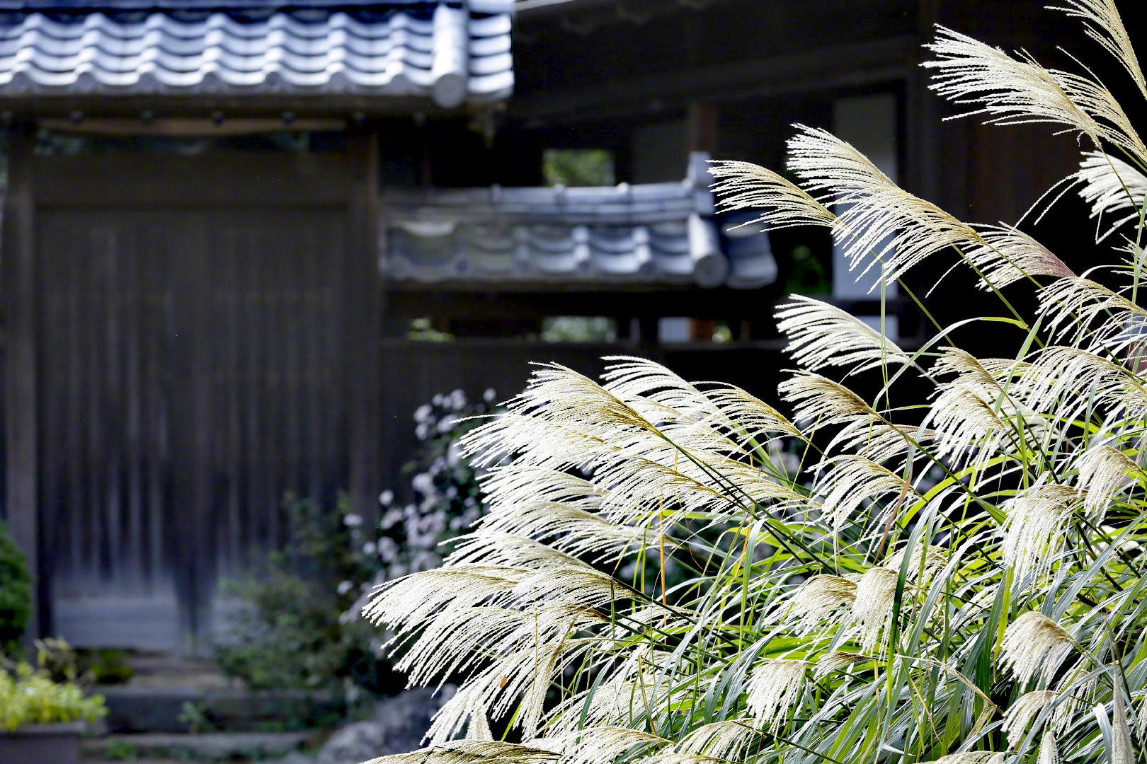 “为什么要养娃？”31岁职场上升期，我辞掉高薪工作做了全职妈妈