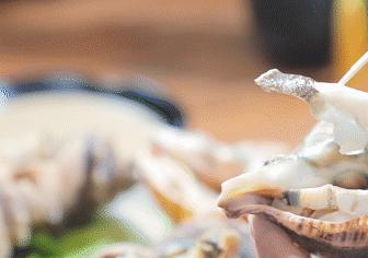 鍗楁槍娴烽矞鐑х儰鐢熻殱,鍗楁槍鐑х儰鐢熻殱鎺ㄨ崘