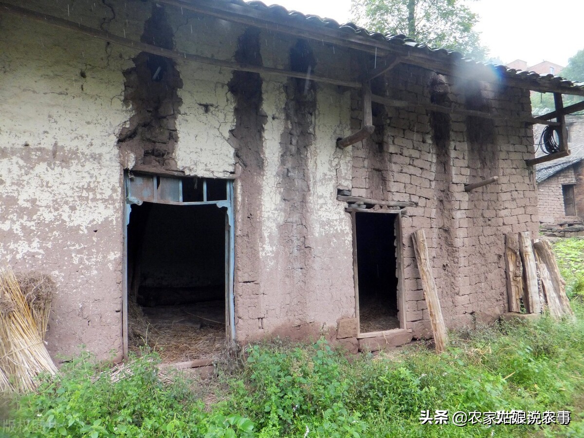 农村户口没房子住该找谁,如果一家有两个户口怎么办