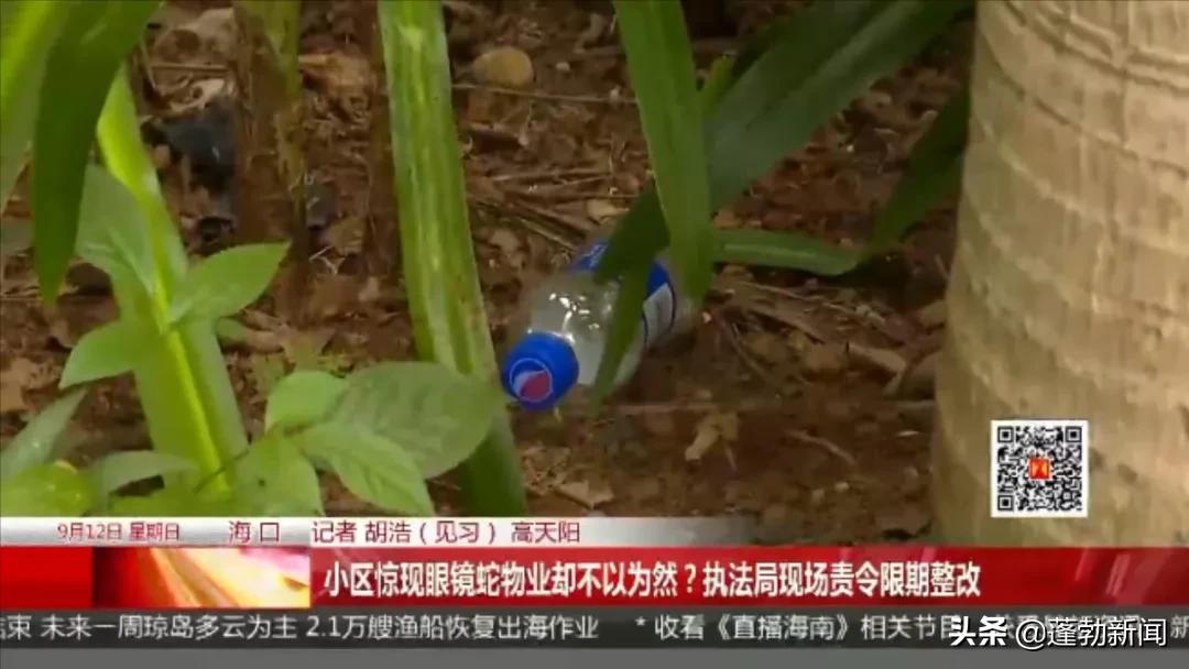 小区里出现蛇物业清理,小区出现蛇物业该如何处理