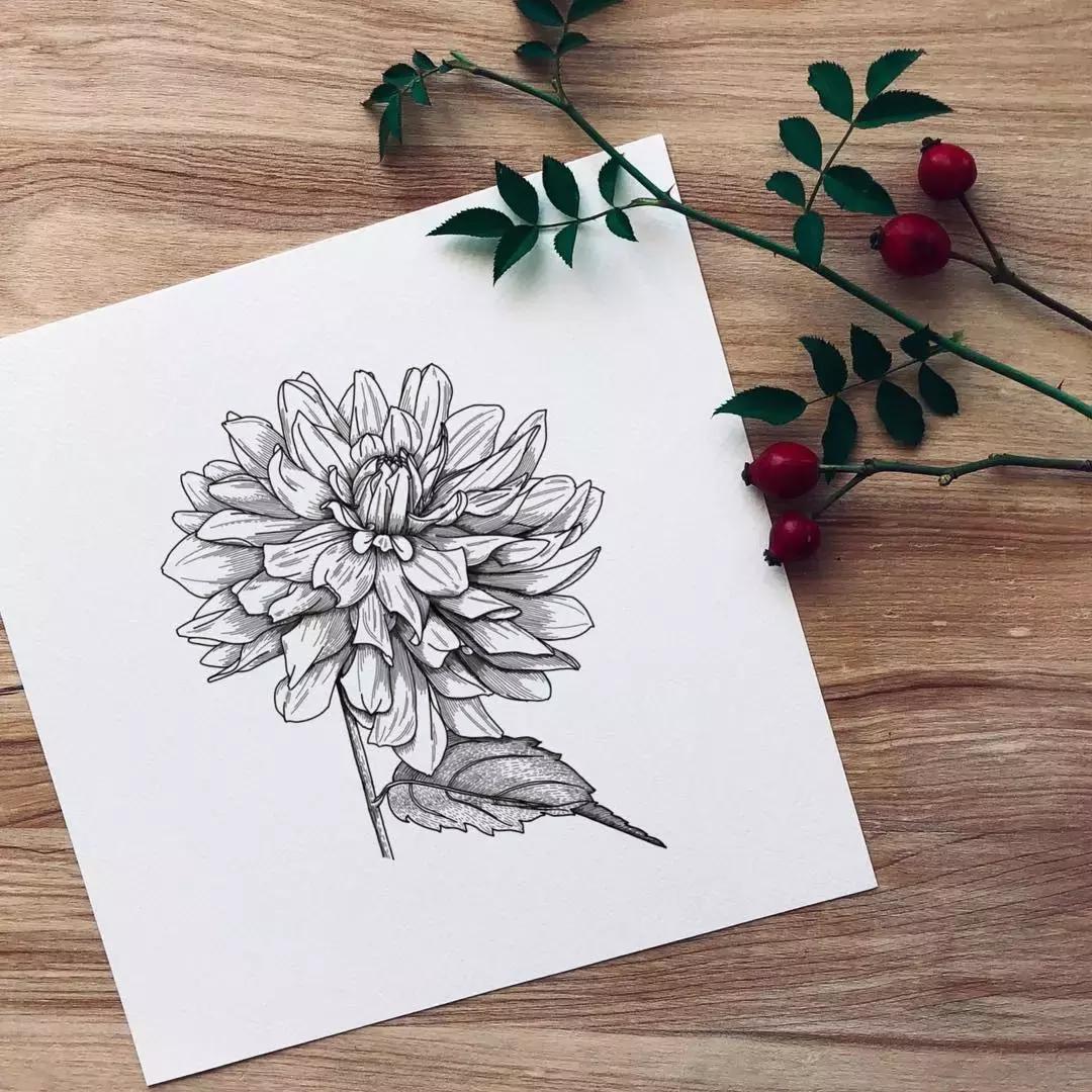 这一波手绘太给力了,绝对让你练完不厉害都难