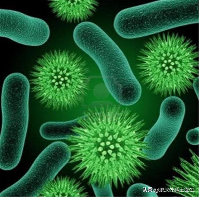 肛门摸到了小肉球，是痔疮还是尖锐湿疣？医生教你从外表就能区分