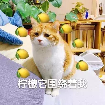 洗钱1个亿给小李子拍电影,这波“金融海盗”操作有点骚