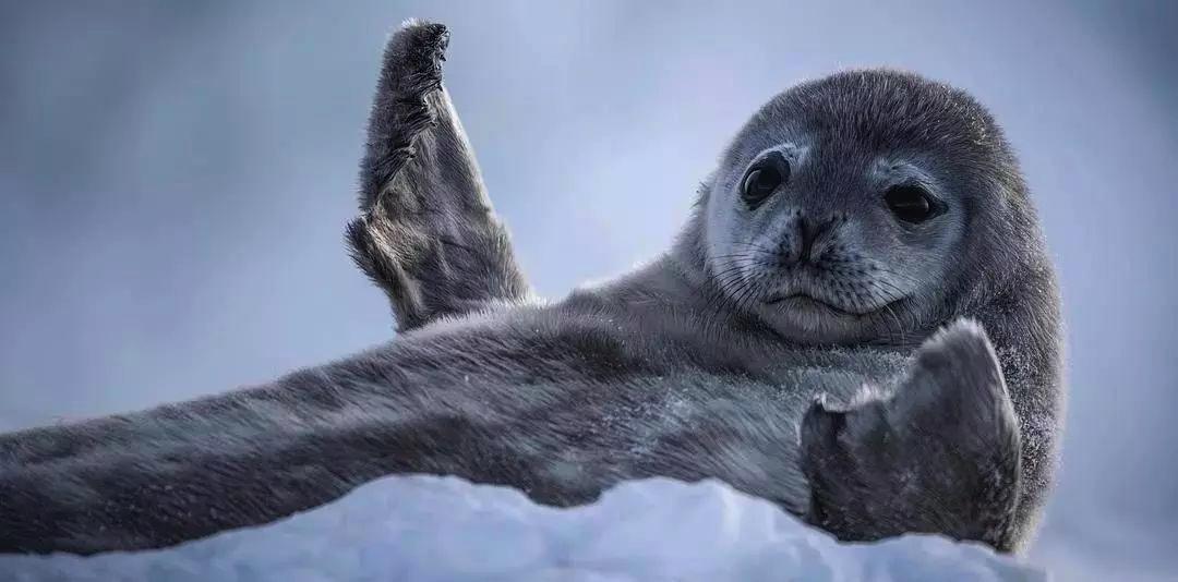 孩子暑期必看的50部神级纪录片,适合孩子和家长一起看的纪录片