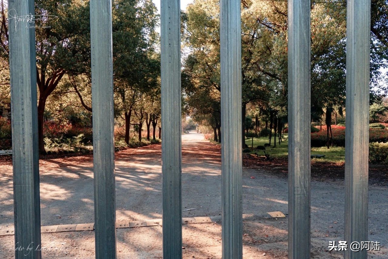 杭钢现状,曾经的热闹非凡如今的冷冷清清