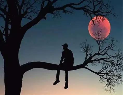 人与人之间交往还是糊涂点好,人与人还是见外一点好文案