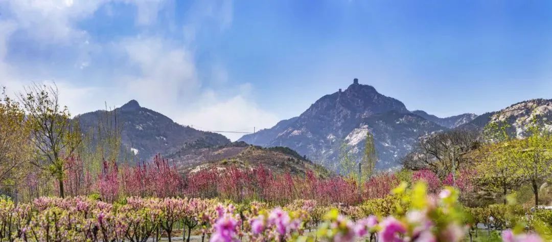 天蒙山踏青赏花,蒙山景区赏花