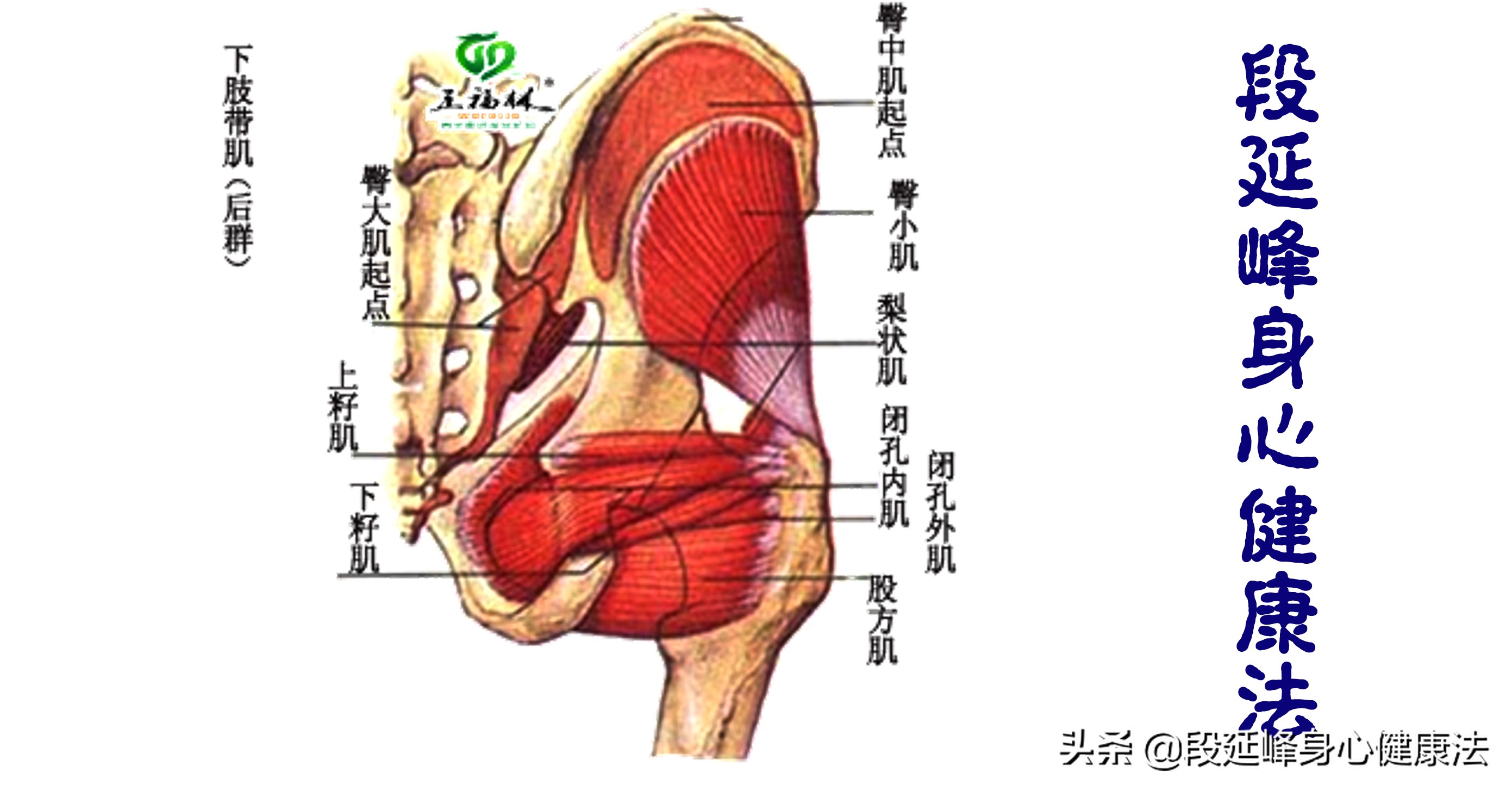 有什么治疗月经不调痛经的方法,痛经都怎么治疗得好呢吃什么药