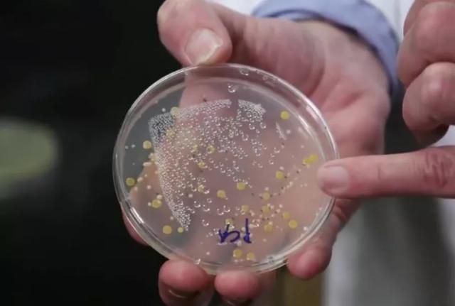 什么牌子的化妆品比马桶脏,专柜买的化妆品有质量问题能退吗