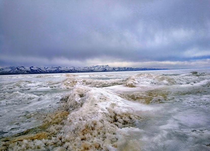 成分*党**特辑：既能修复肌肤还能抗衰抗皱的天然护肤因子—依克多因