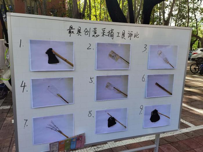 西北工业大学创意柿子大赛,西工大柿子采摘大赛第四届