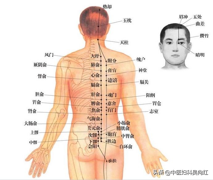 痛则不通通则不痛教你一招,痛则不通通则不痛用什么药
