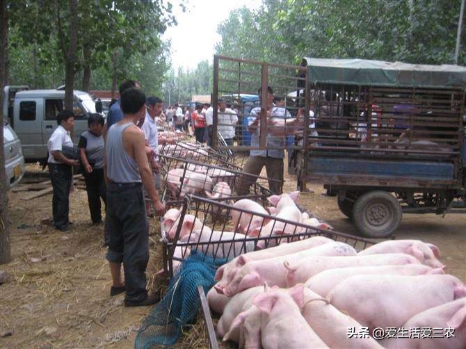 适合农村上班的副业,还有哪些适合普通人的工作