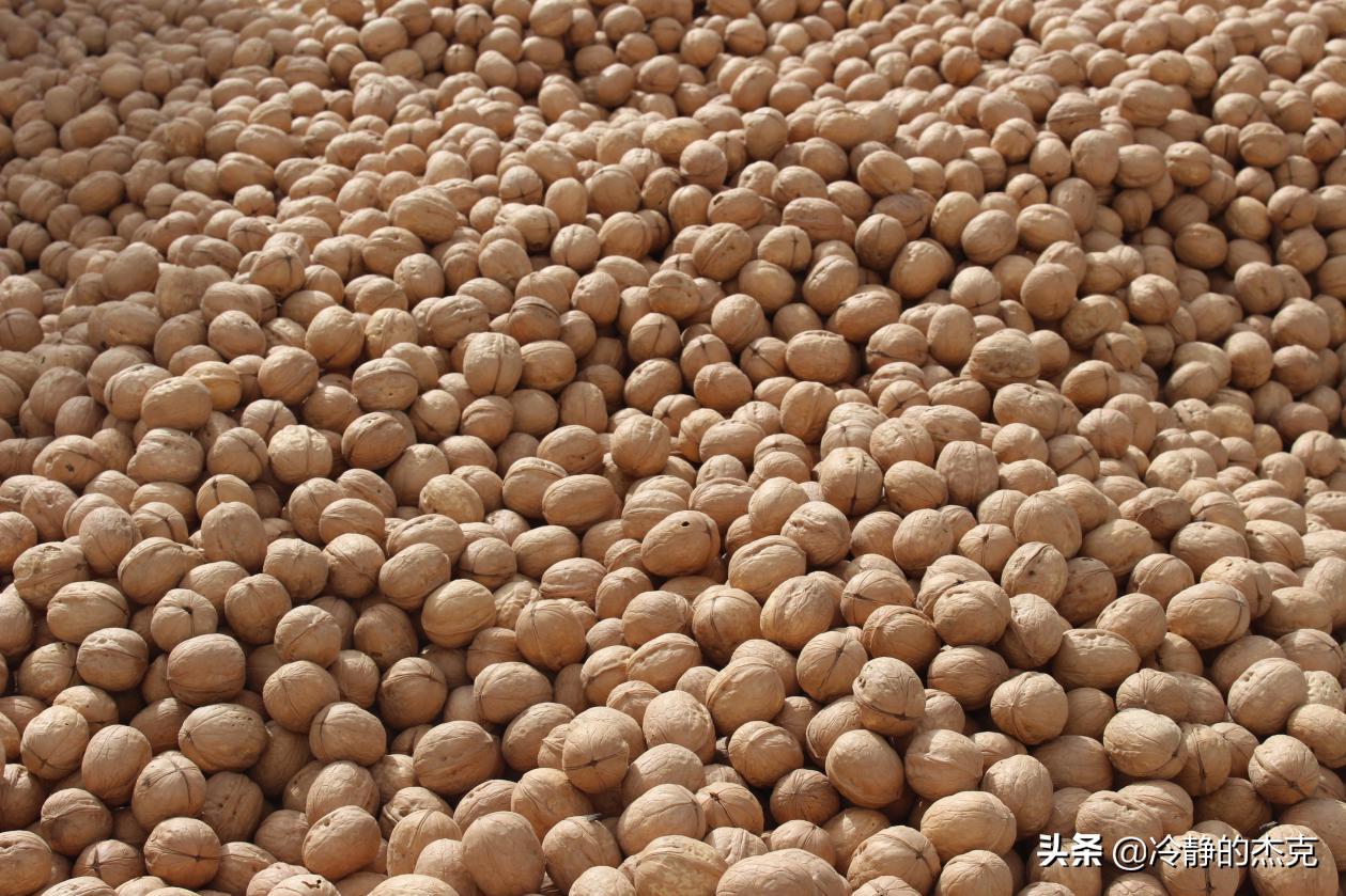 *疆新**核桃品种、产量知识分享，喜欢吃吗？