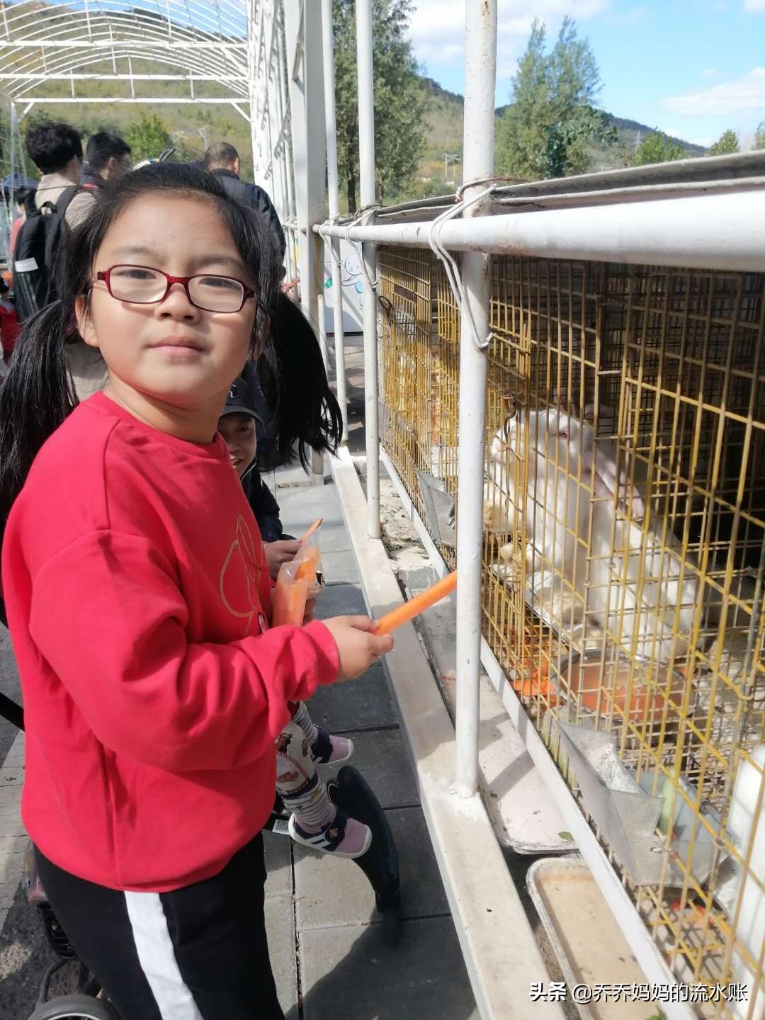 记录生活2020年5月,记录原生态牧场生活