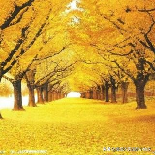 你为什么要考研英语,你为什么要考研