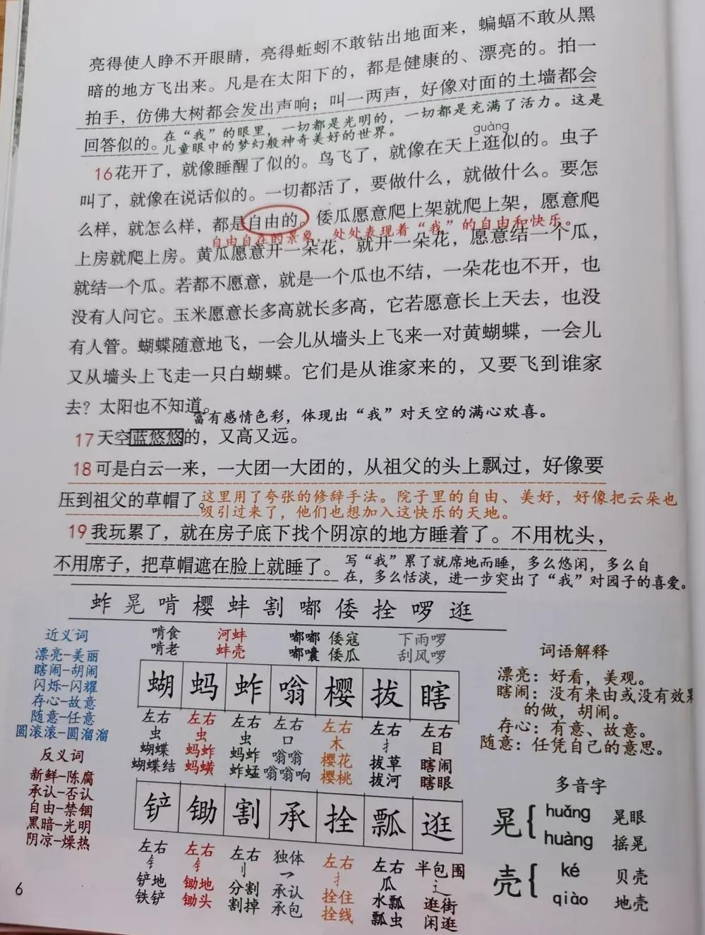 五年级下册语文第四单元笔记完整,牛奶爱面包五年级下册二单元笔记