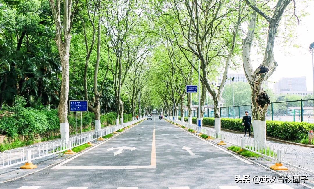 爸妈我想回家视频,爸妈我想回家了原视频