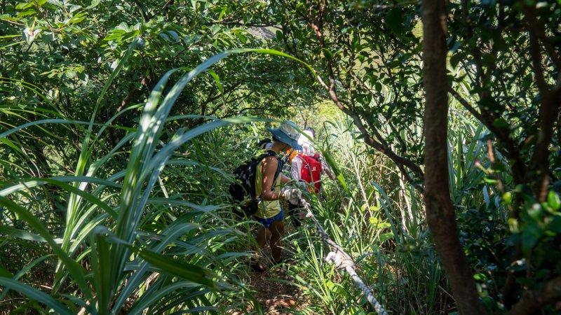 迪卡侬轻量化防雨外套,迪卡侬防风保暖外套测评