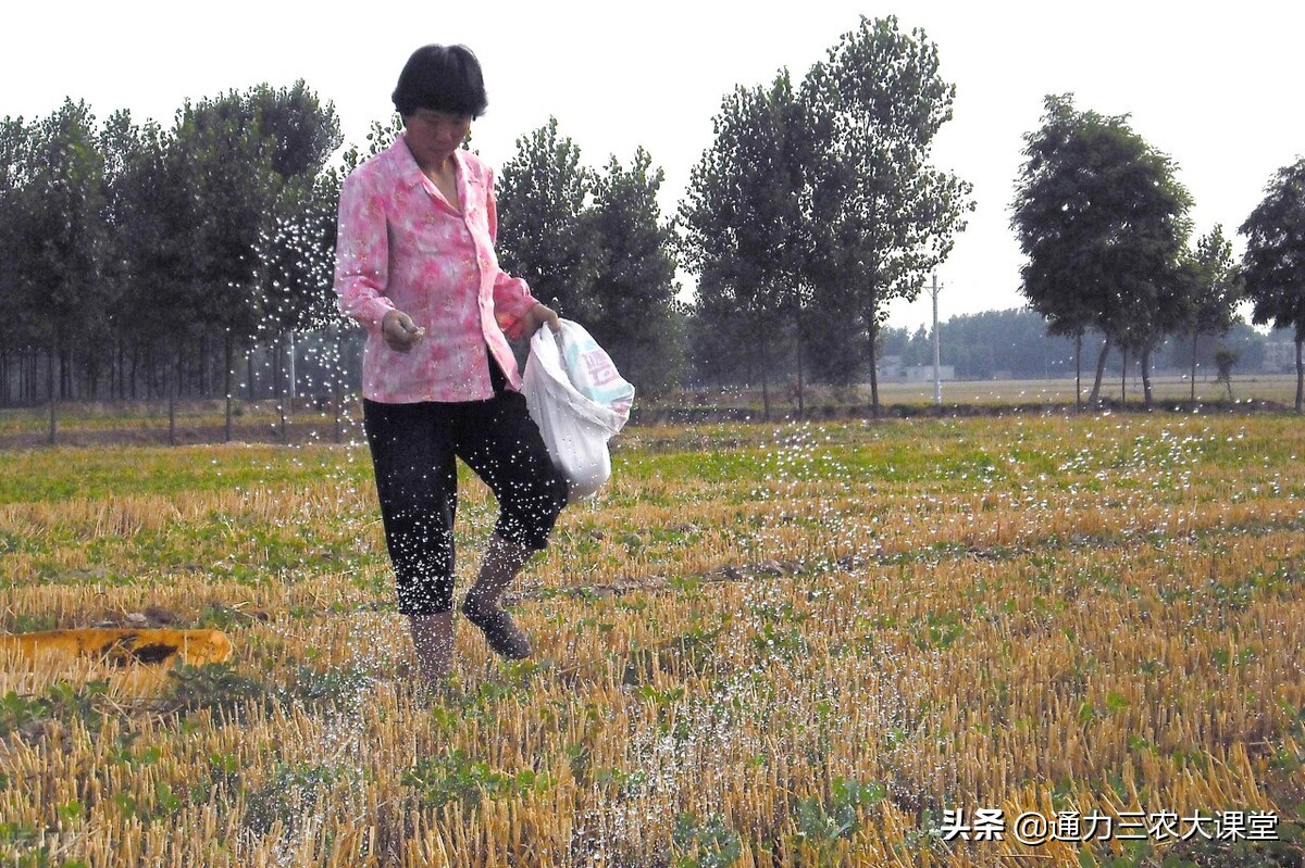 麦茬花生二次追什么肥好,麦茬花生种植技术如何浇水