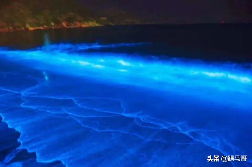 我向往的生活是什么样子短片,我向往的生活是怎么样的