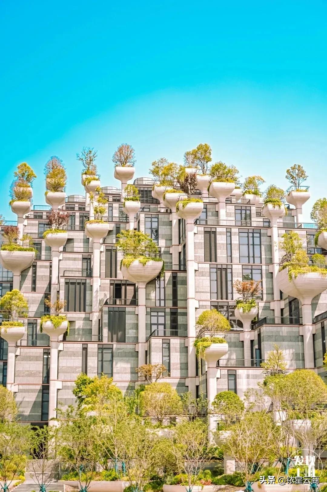 预计入市新盘,未来5大商业趋势