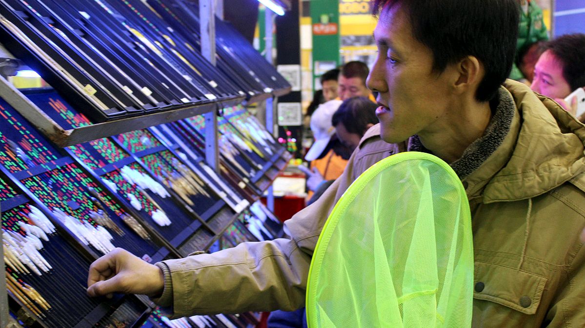 新手选钓鱼漂,钓鱼新手选择什么鱼漂