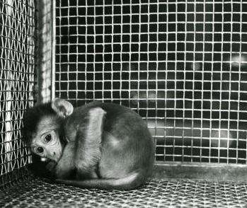 孩子调皮贪玩学习差，善用“同伴关系”力量，还你上进乖宝宝