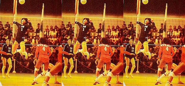 中国女排奋斗经历简短20字,排球运动简史中国女排