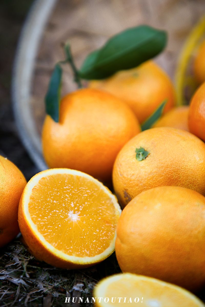 超爽福利暴击！高山神秘“金疙瘩”,甜蜜你的冬天