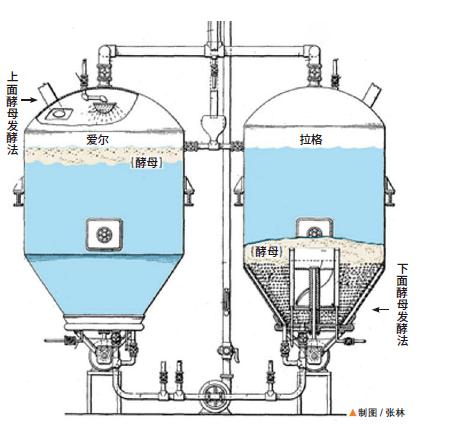生啤鲜啤熟啤原浆的区别,精酿生啤和熟啤有什么区别