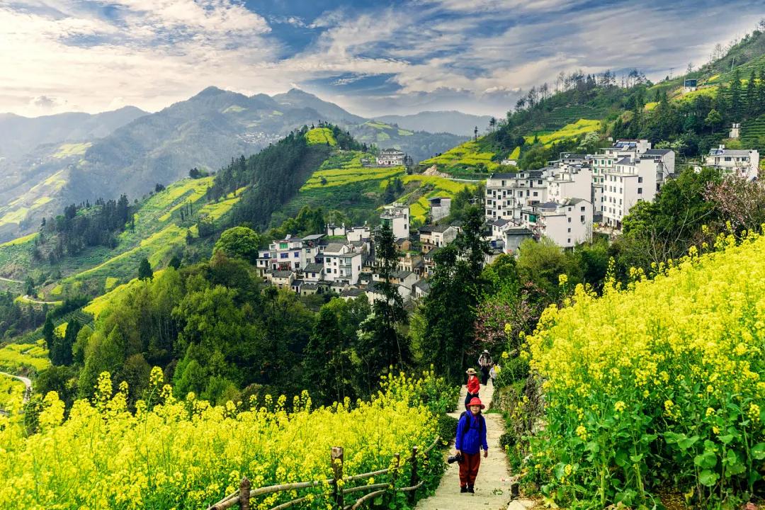 安徽春天美丽的视频,安徽美丽的春天