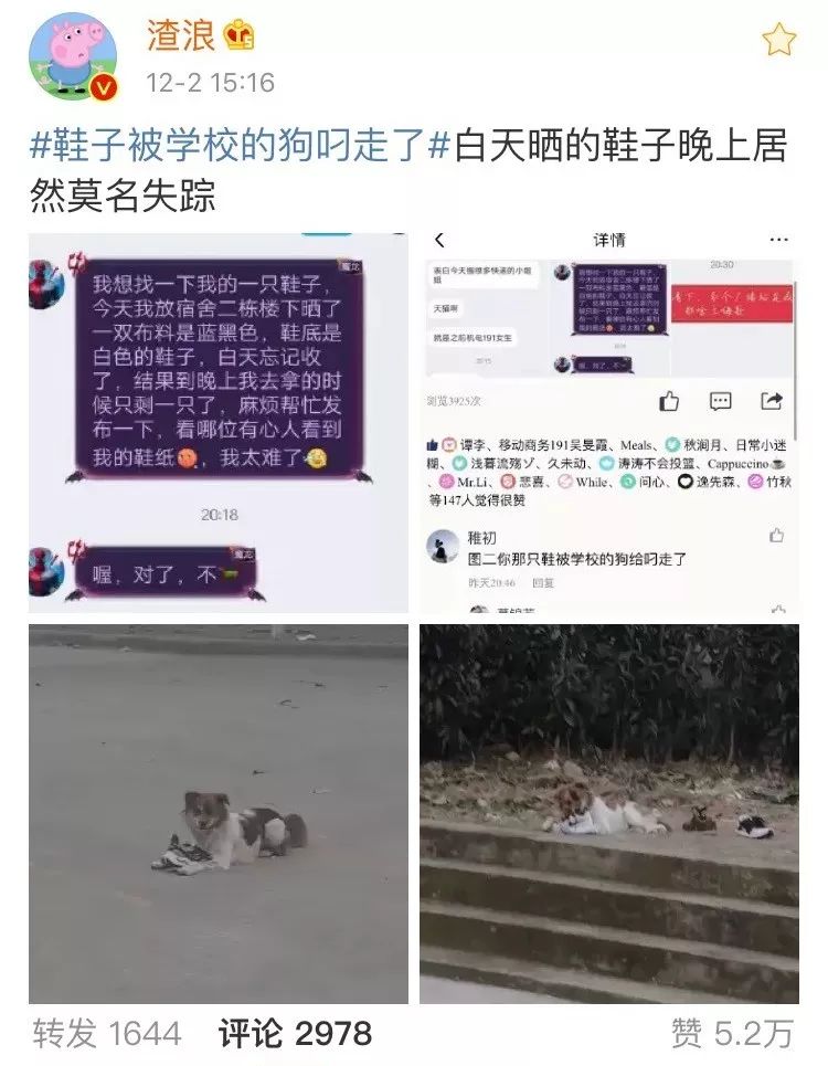 闉嬪瓙琚滃瓙琚埆浜哄伔,闉嬪瓙琚滃瓙琚伔