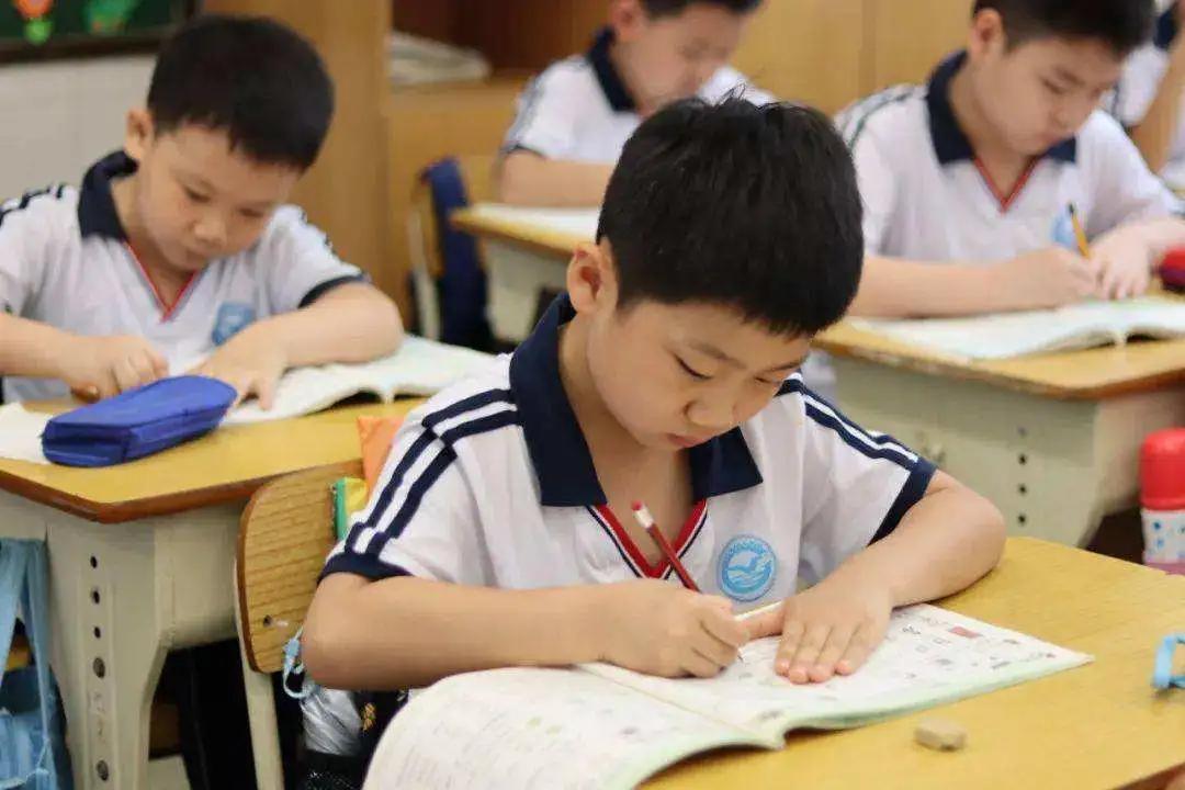 今年武清区有什么大发展,关于天津武清区发展报告