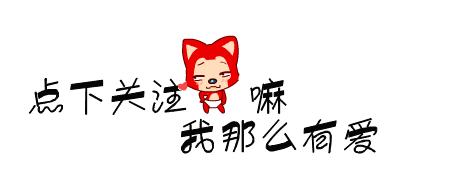 泰迪怎么养新手养泰迪犬基本知识,泰迪比熊博美哪个适合新手养