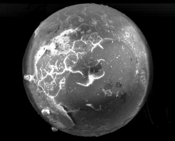 贝壳里有珍珠还有大宝石,贝壳里有沙粒才会有珍珠