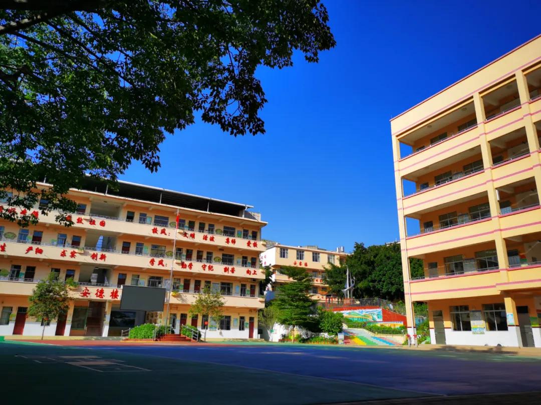 宁强县大安镇中心小学,大安镇中小学校