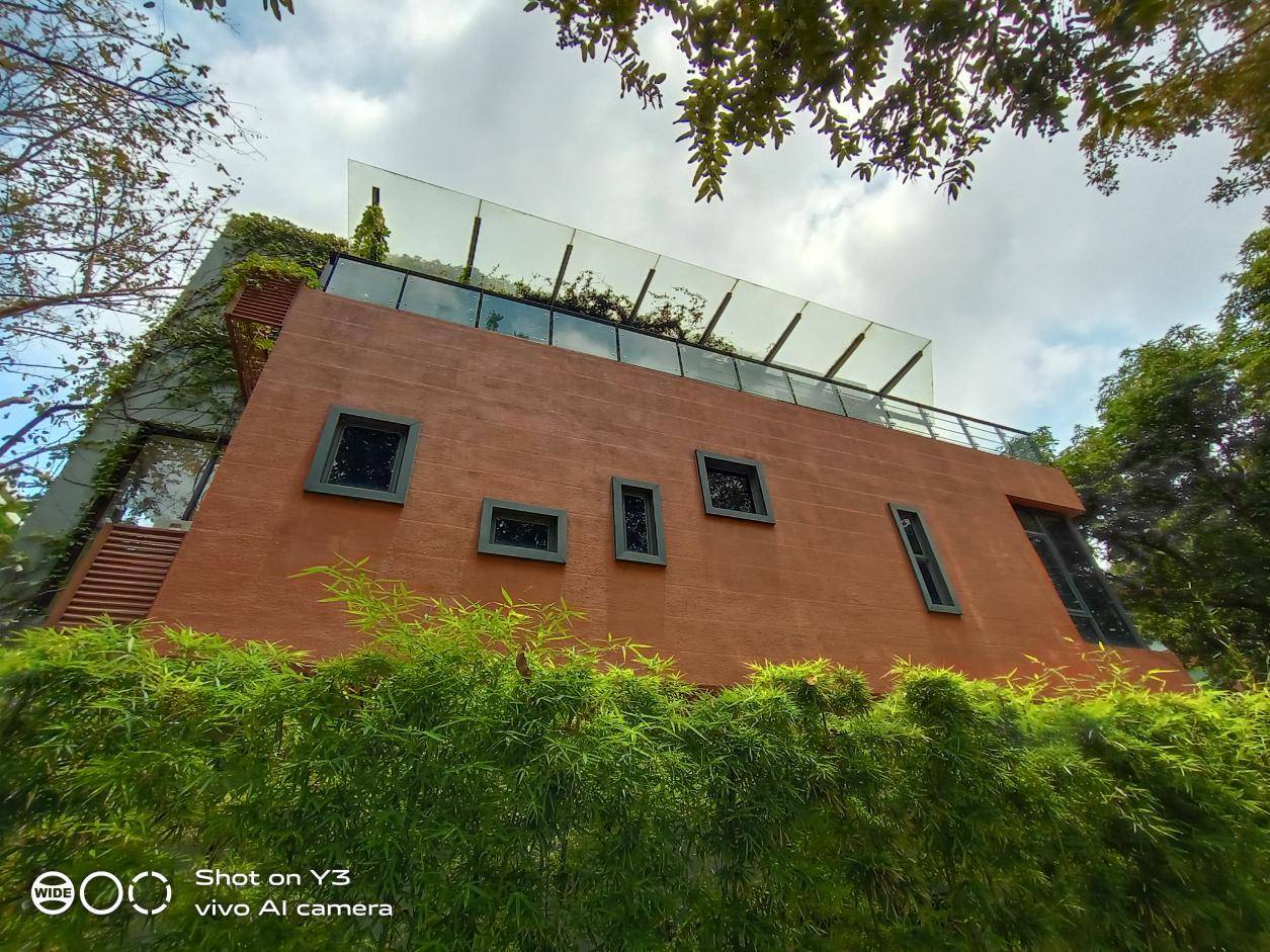 vivoy3标准版最好用的功能,vivoy3初桃粉好看吗