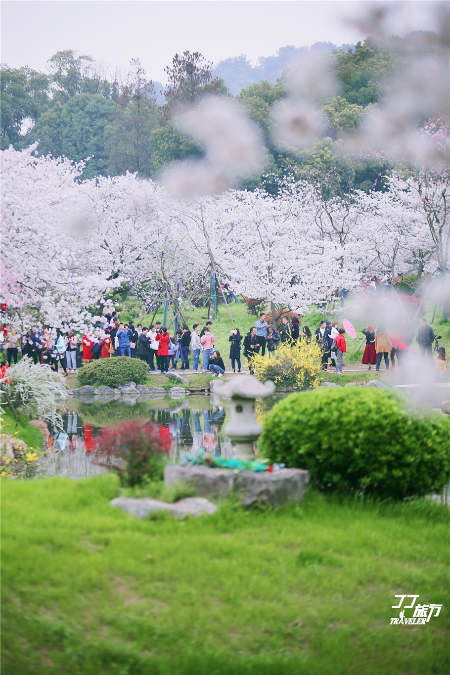 武汉东湖樱花园是世界几大樱花园,世界三大樱花园