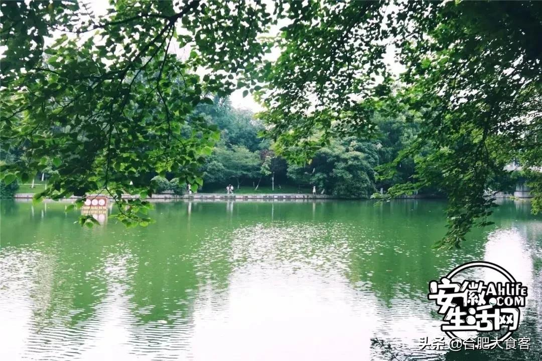 2020年,在这50个地方遇见不一样的合肥