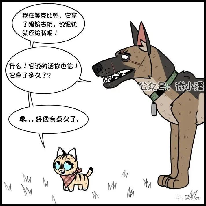 小猫咪欺负大狗漫画,小猫咪欺负大狗漫画暖心