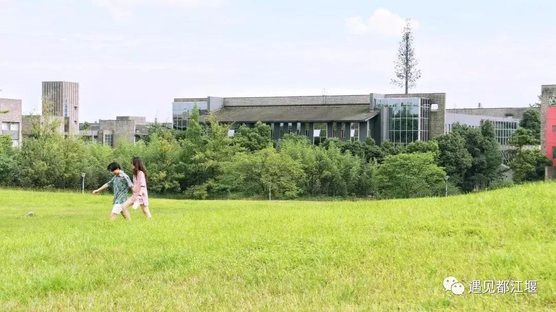 四川在青城山的大学,青城山可以去学习吗