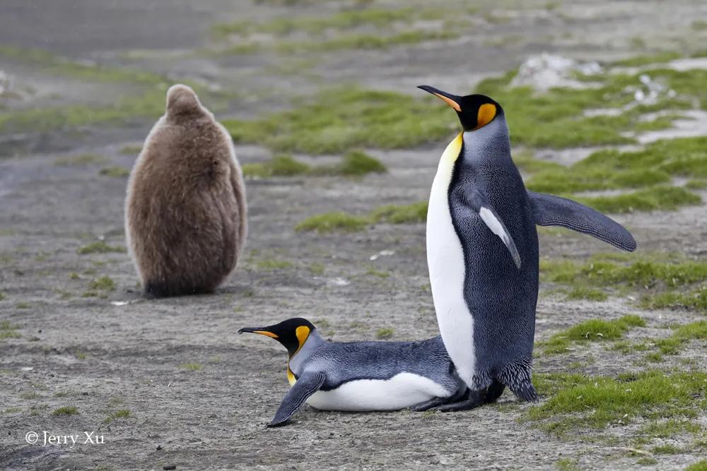 情人节，就该和爱的人*爱做**做的事