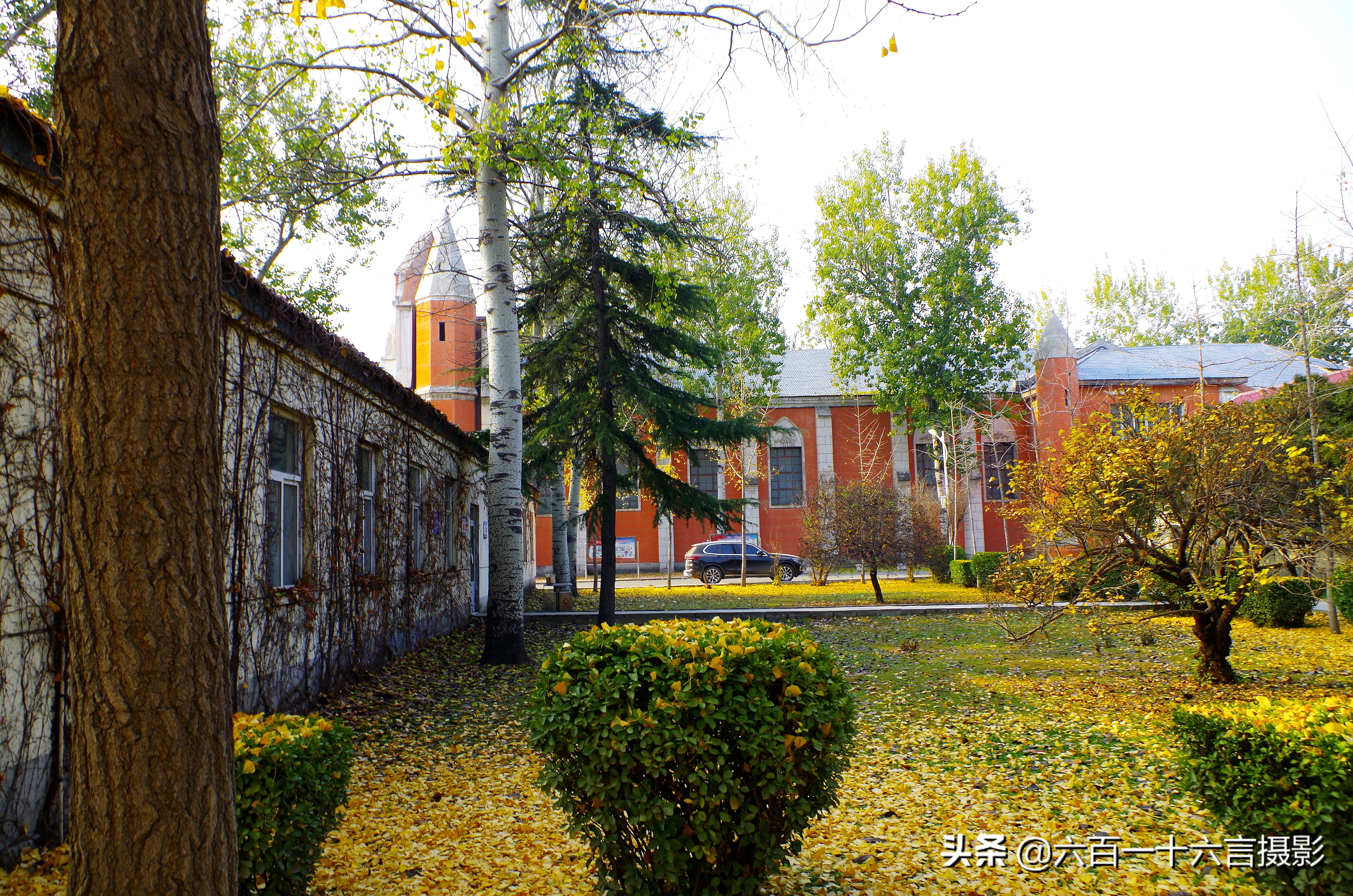 这里是正定04:传说中的御井长这样