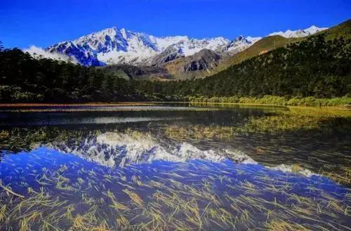 郎酒再闯IPO硬伤几何？淘汰赛考验汪俊林要填多少坑